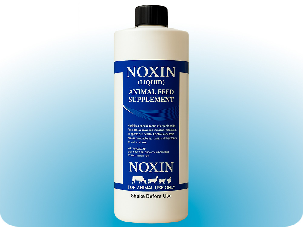 Noxin